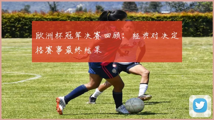 欧洲杯冠军决赛回顾：经典对决定格赛事最终结果