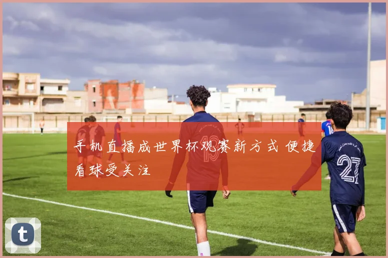 手机直播成世界杯观赛新方式 便捷看球受关注